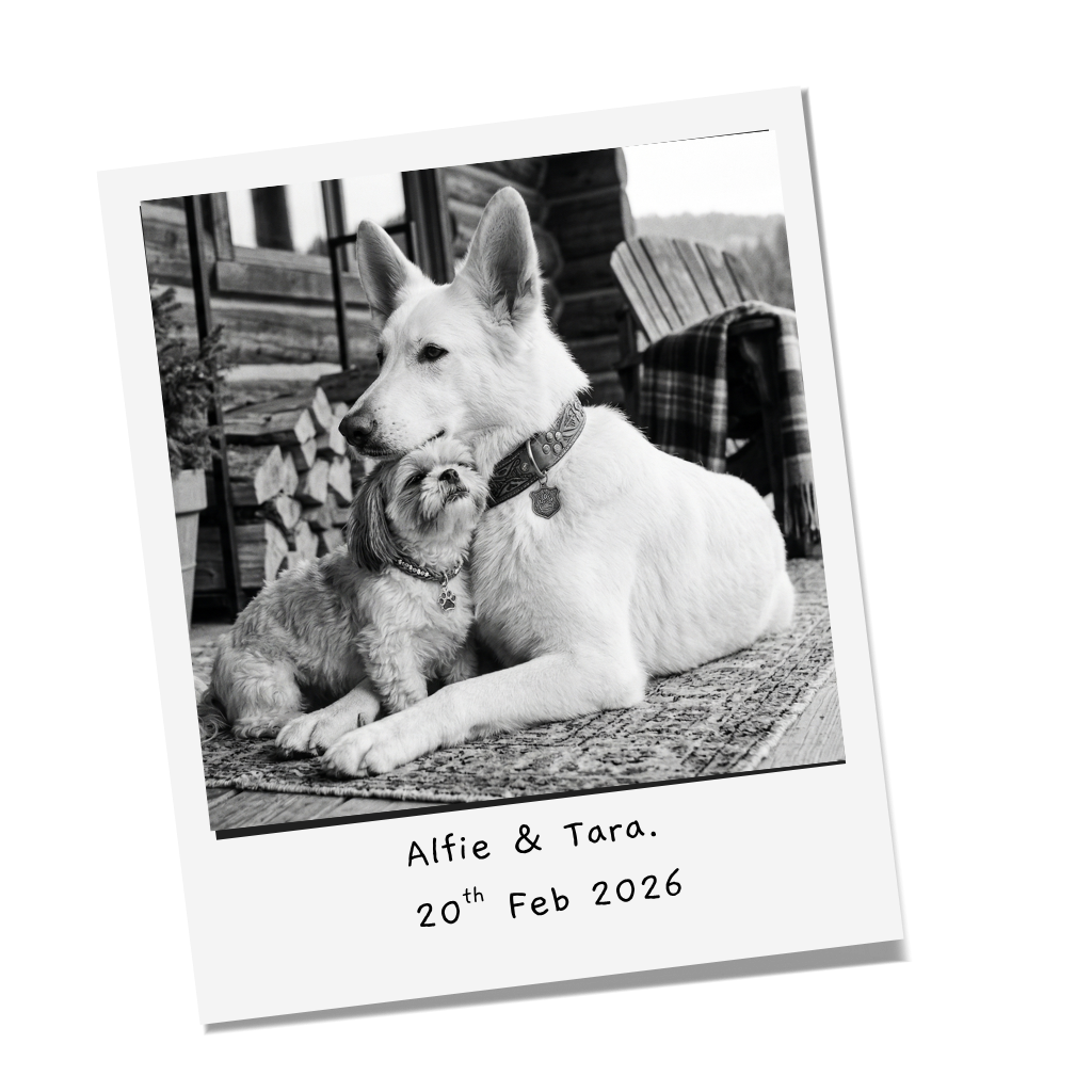 Alfie and Tara - polaroid style photo