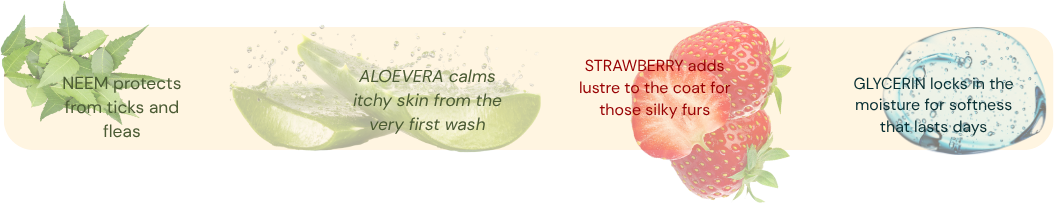 Neem protects from ticks and fleas. Aloe vera calms itchy skin from the very first wash. Strawberry adds lustre to the coat for those silky furs. Glycerin locks in the moisture for softness that lasts days.